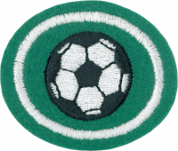 Soccer AY Honor.png