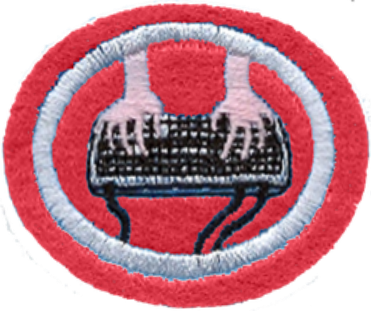 File:Word Processing (SPD) AY Honor.png