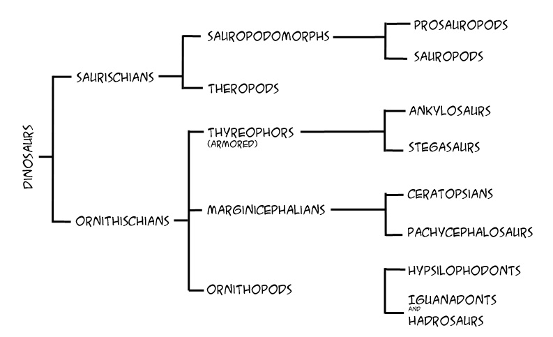 File:Dinoraurgroups.jpg