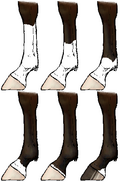 Thumbnail for version as of 00:01, 8 April 2007