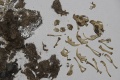 Thumbnail for version as of 06:57, 25 April 2015