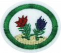 Bryophytes AY Honor.png