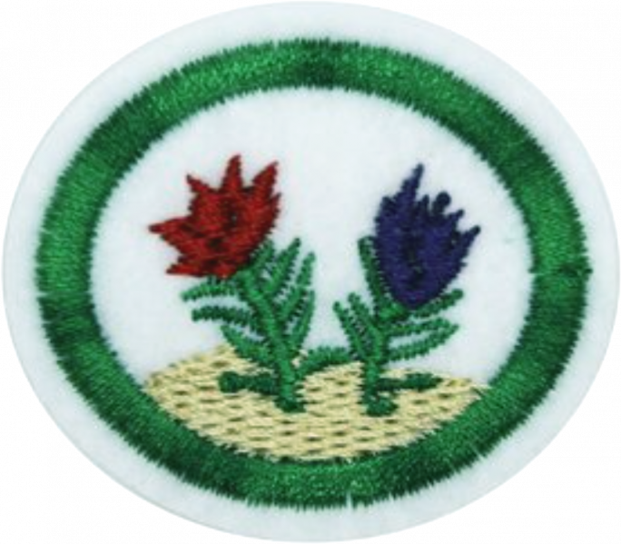 File:Bryophytes AY Honor.png