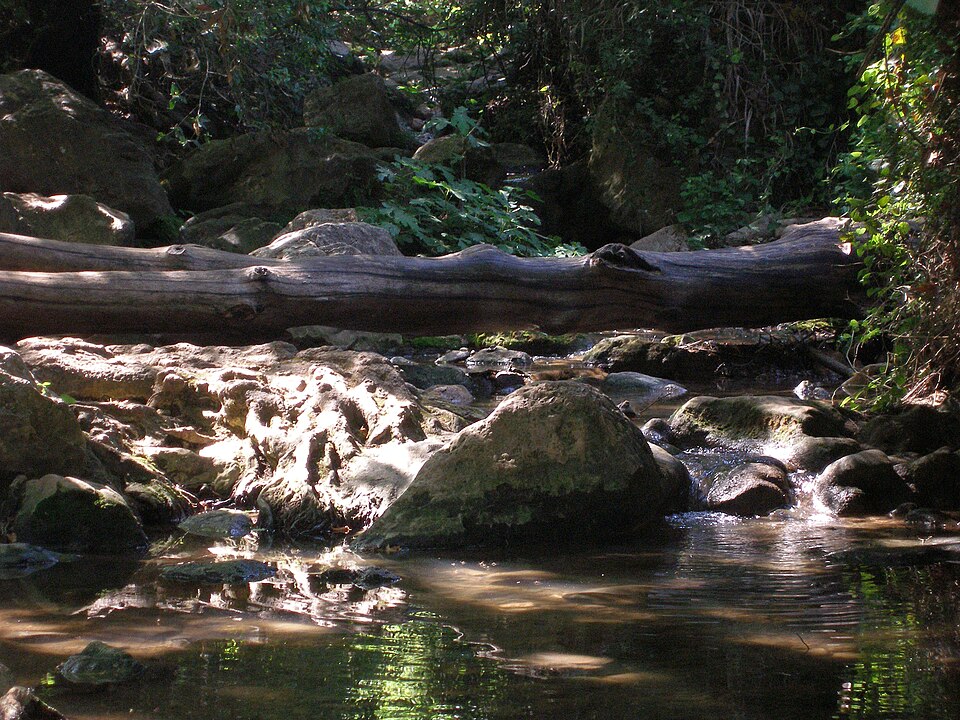 File:Kziv stream.JPG