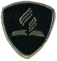Baptism Pin.png