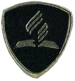 Baptism Pin.png
