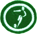 Futsal AY Honor.png