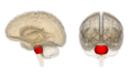 Thumbnail for version as of 15:46, 9 September 2009