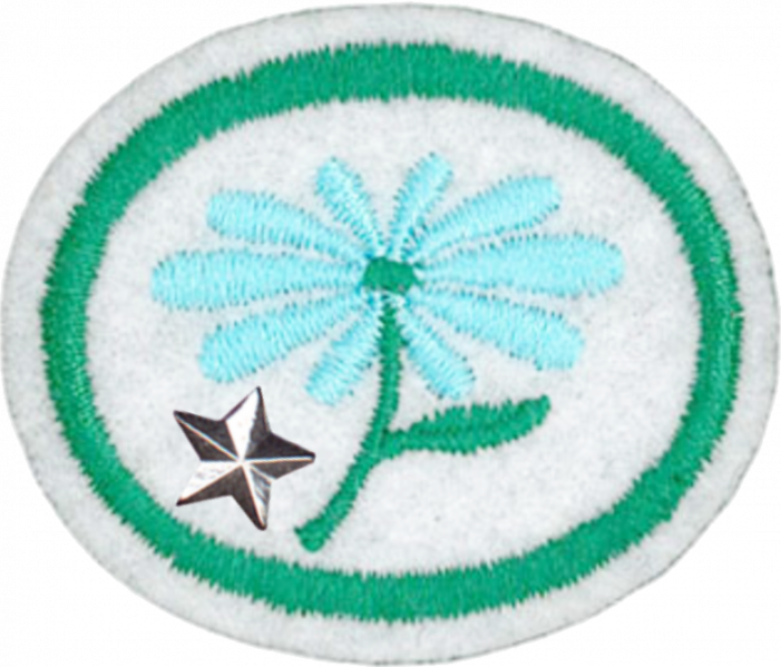File:Flowers Advanced AY Honor.png
