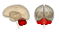 Thumbnail for version as of 16:15, 9 September 2009