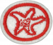Marine Invertebrates AY Honor.png