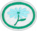 Flowers AY Honor.png
