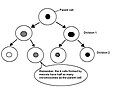 Thumbnail for version as of 01:51, 25 February 2011