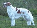Thumbnail for version as of 00:23, 27 June 2006