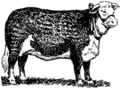Thumbnail for version as of 17:39, 19 December 2007