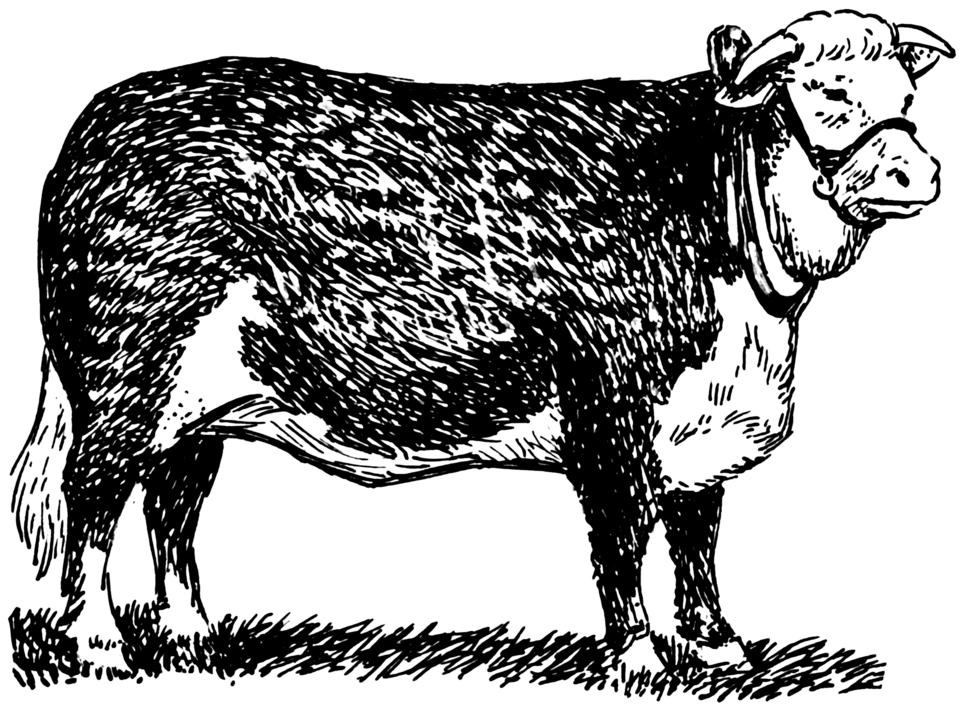 File:Hereford (PSF).png