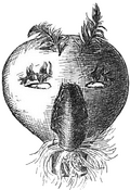 Thumbnail for version as of 11:07, 12 May 2009