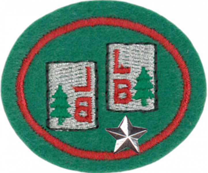 File:Letterboxing Advanced AY Honor.png