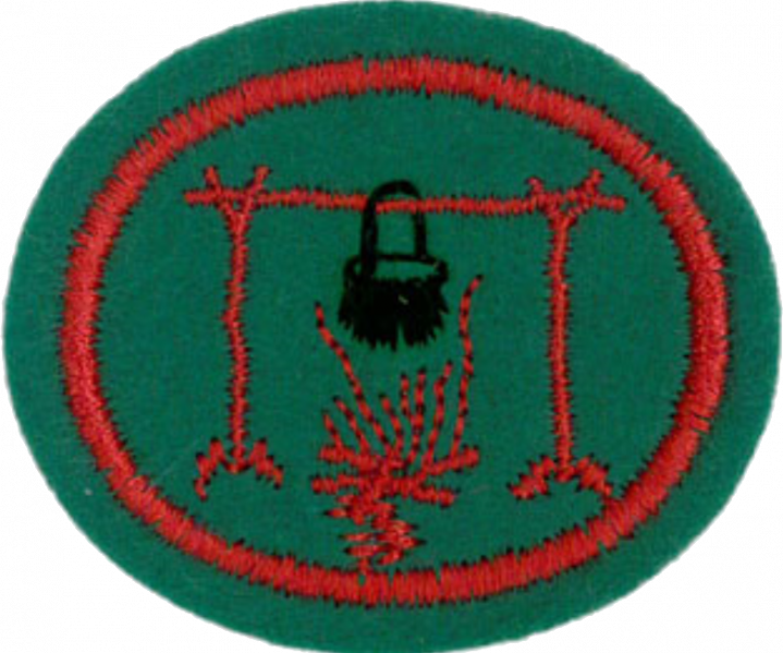 File:Camp Craft AY Honor.png