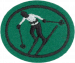 Skiing Downhill AY Honor.png