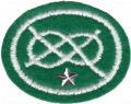 Knots Advanced AY Honor.png