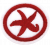 Echinoderms AY Honor.png