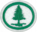 Trees AY Honor.png