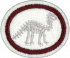 Fossils