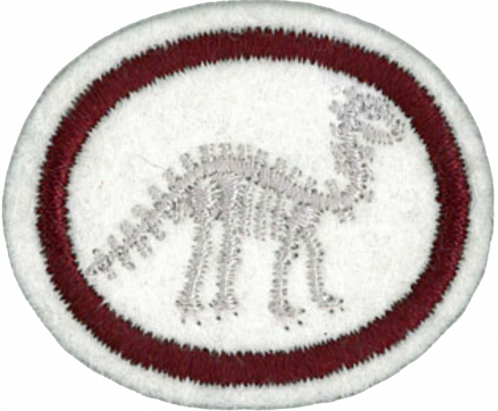 File:Fossils AY Honor.png