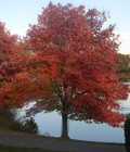 Thumbnail for version as of 00:10, 25 October 2010