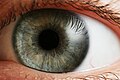 Thumbnail for version as of 20:21, 30 November 2005