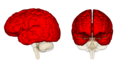 Thumbnail for version as of 15:26, 12 September 2009