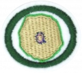 Cytology AY Honor.png