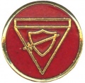 COMPANIONPIN.jpg