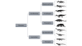 Thumbnail for version as of 01:30, 7 April 2018