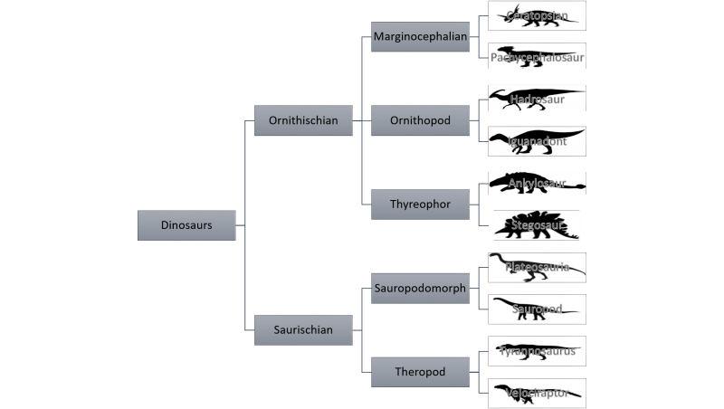 File:Dinosaur Tree.png
