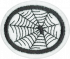 Spiders