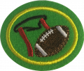 Flag Football AY Honor.png