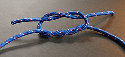 Surgeon's knot (tying).jpg