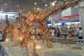 Lufengosaurus 8998 W.jpg
