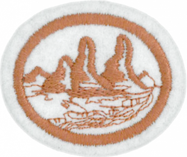 File:Geology AY Honor.png