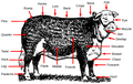 Thumbnail for version as of 05:11, 20 March 2008