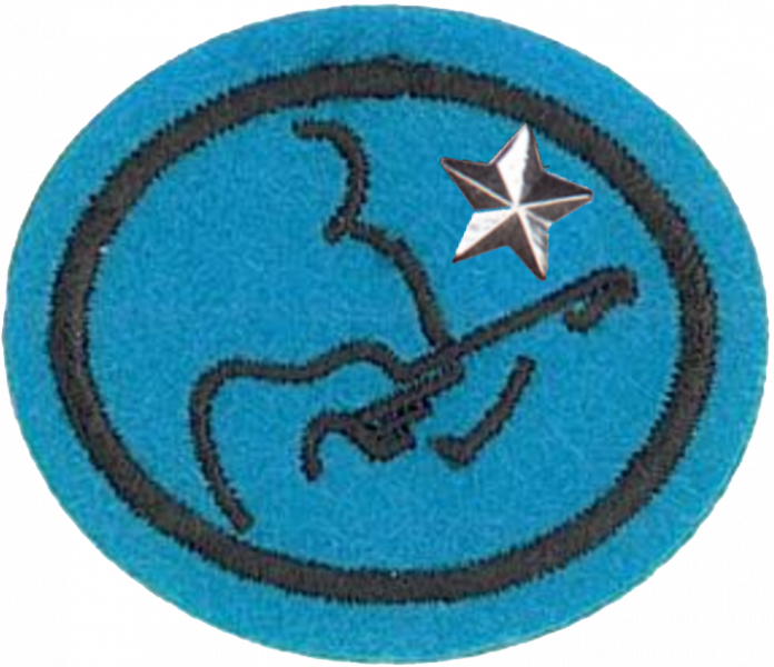 File:Guitar Advanced AY Honor.png