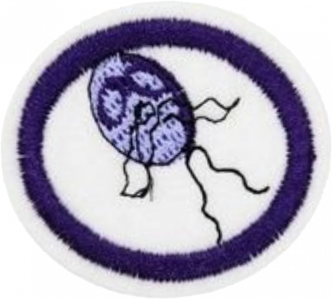 File:Protozoa AY Honor.png