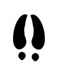 Thumbnail for version as of 02:42, 16 January 2007