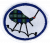 Bagpipes AY Honour.png