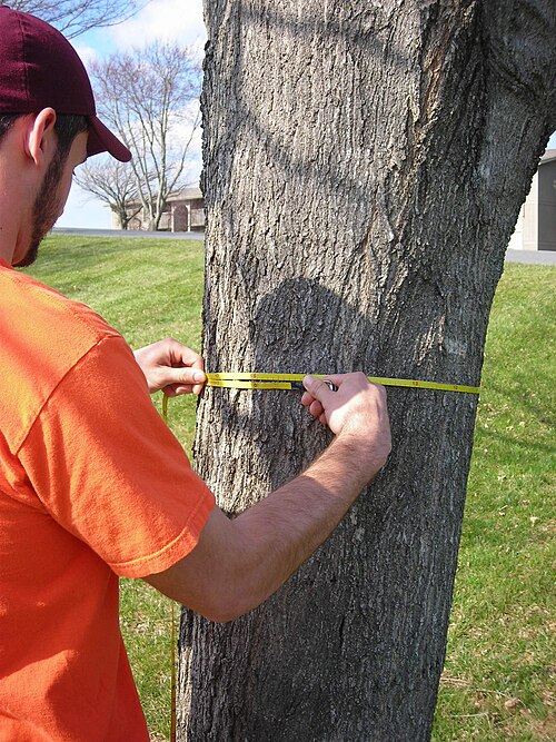 File:Using a DTApe.JPG