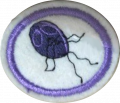 Thumbnail for version as of 04:41, 29 July 2017
