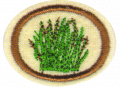 Thumbnail for version as of 03:13, 27 July 2012