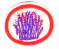 Thumbnail for version as of 03:15, 27 July 2012